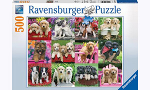 Ravensburger Puppy Pals Puzzle 500pc RB14659-8