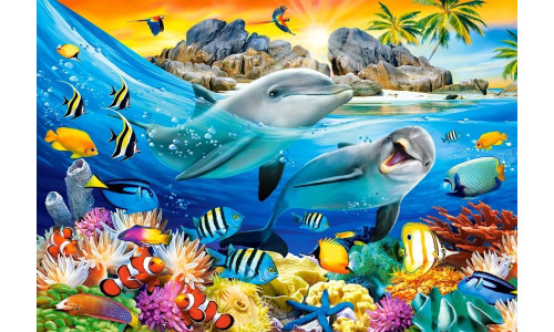 Castorland Dolphins in the Tropics puzzle – 1000 pieces of vibrant ocean life and tropical scenery