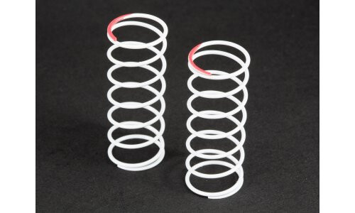 Aarma Big Bore Shock Spring 45mm