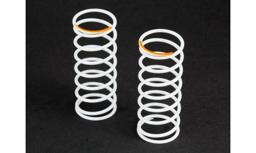 Aarma Big Bore Shock Spring 45mm