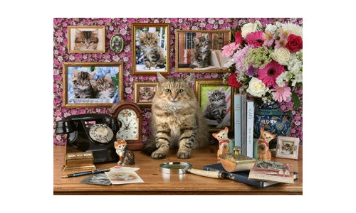 Ravensburger RB00482-0 My Cute Kitty 1000 piece jigsaw puzzle featuring an adorable kitten scene