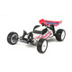 Tamiya RC 2WD Buggy Zahhak Dn01
 (DN-01) 58477