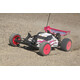 RC 2WD Buggy Zahhak Dn01
 (DN-01) 58477
